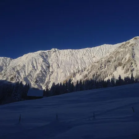 Abelied By Interhome Apartment Adelboden